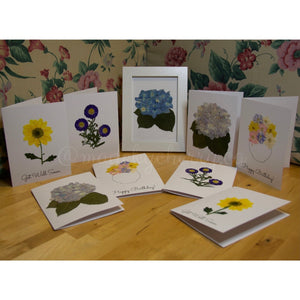 Blank Greeting Cards