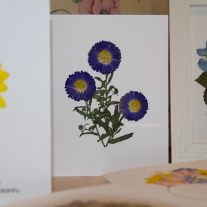 Blank Greeting Cards